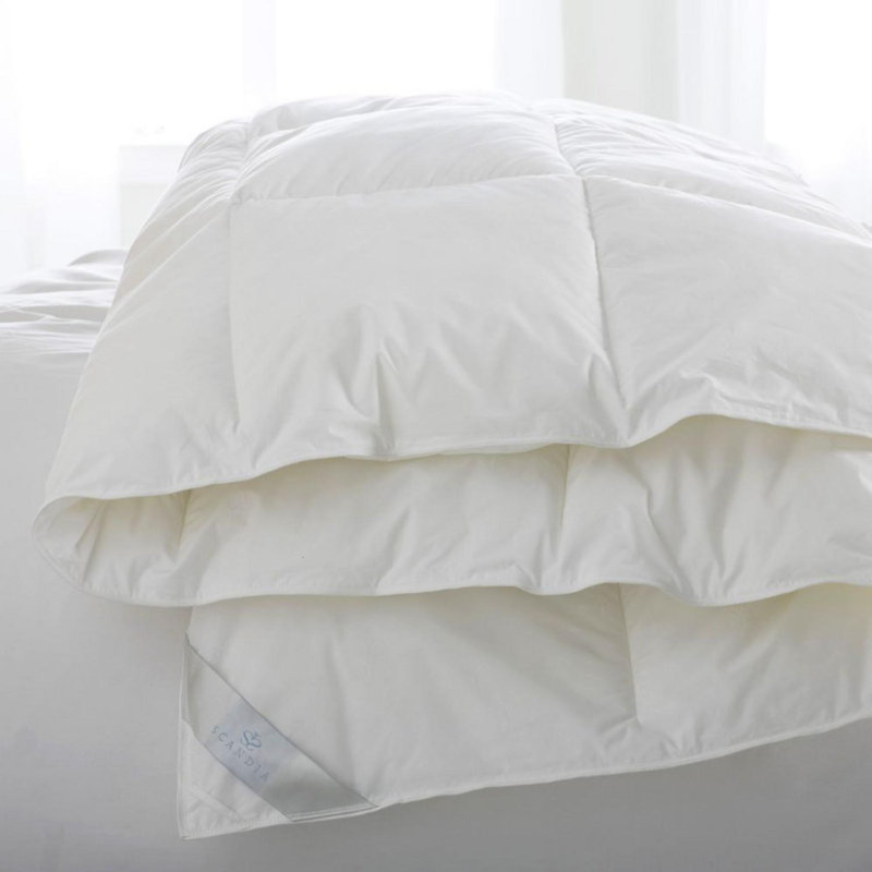 Scandia Home Bergen Medium DownFree Comforter & Reviews Wayfair